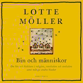 Bin och människor