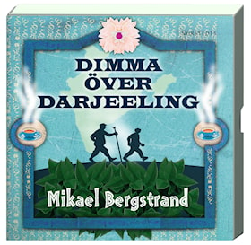 Dimma över Darjeeling