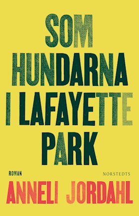 Som hundarna i Lafayette Park