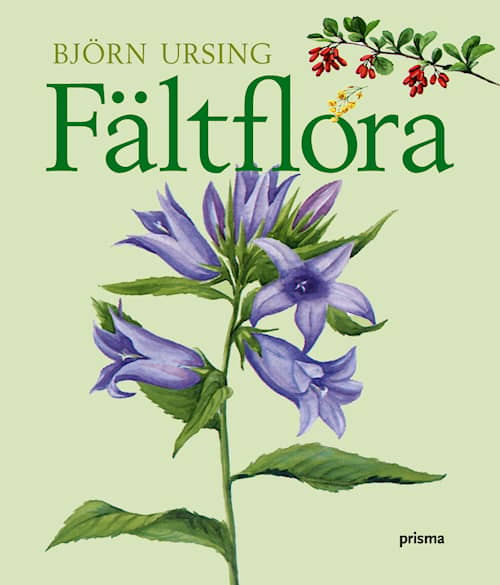 Fältflora