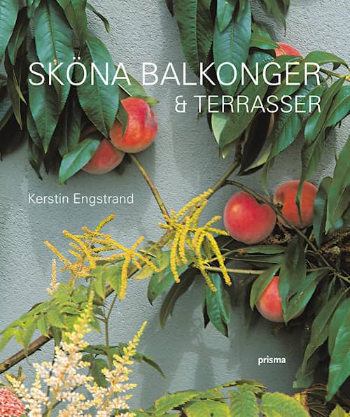 Sköna balkonger & terrasser