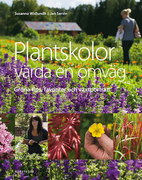 Plantskolor