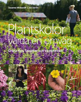 Plantskolor