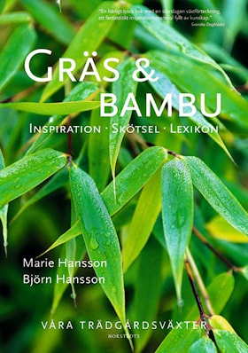 Gräs och bambu