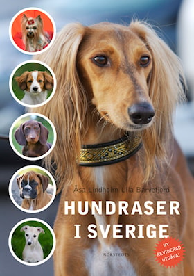 Hundraser i Sverige