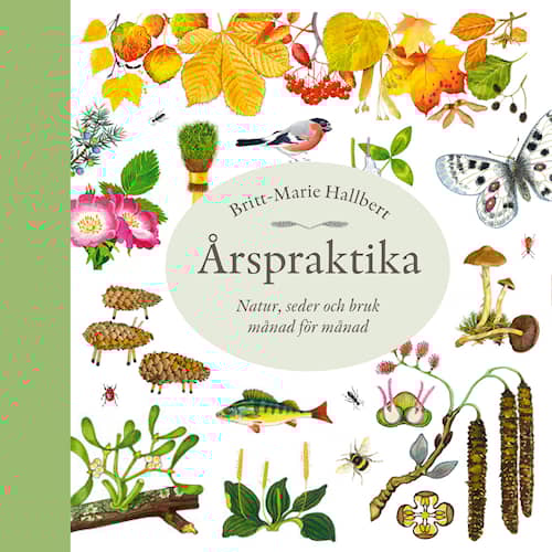 Årspraktika