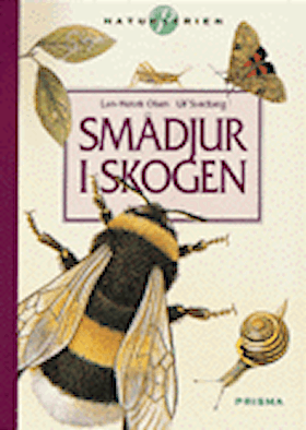 Smådjur i skogen