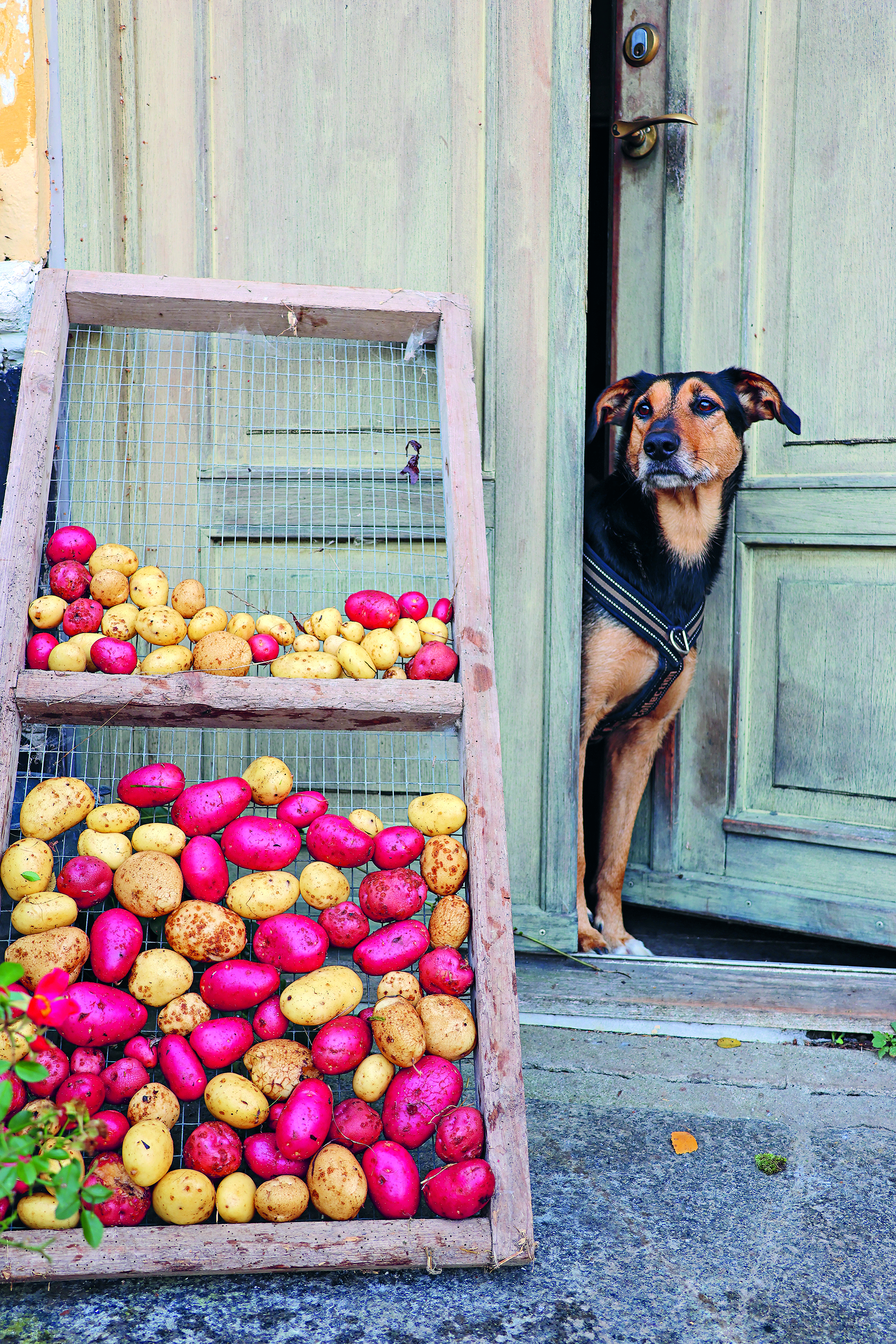 C66A1216 (kopia).jpg