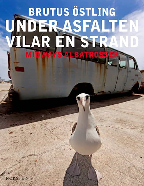 Under asfalten vilar en strand