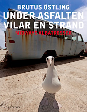 Under asfalten vilar en strand