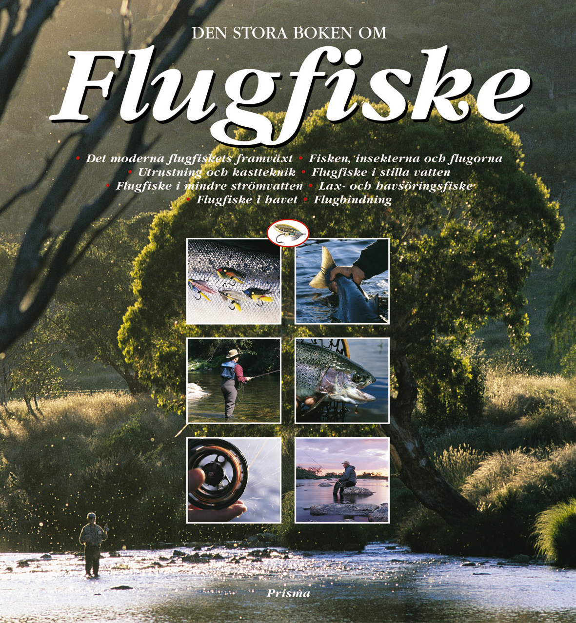 Den stora boken om flugfiske