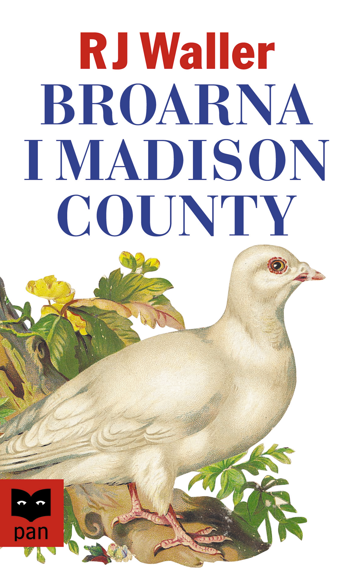 Broarna i Madison County