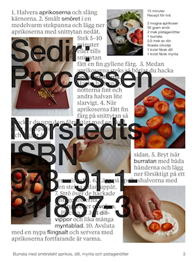 Sedir: Processen