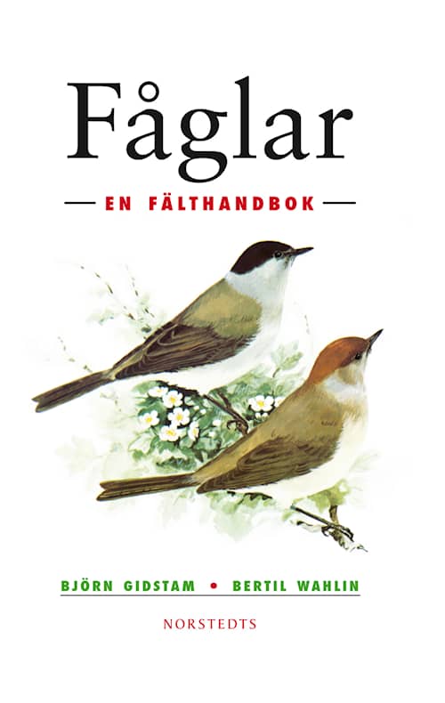 Fåglar