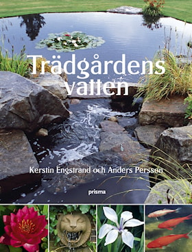 Trädgårdens vatten