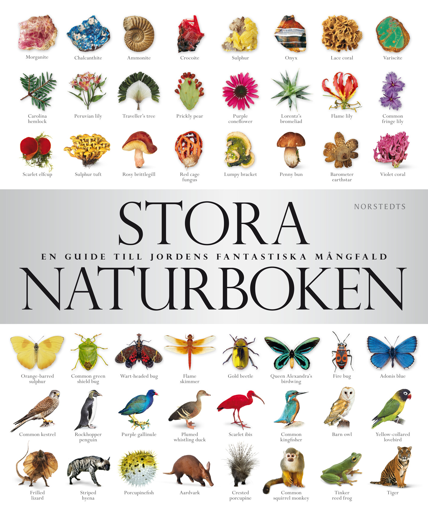 Stora naturboken