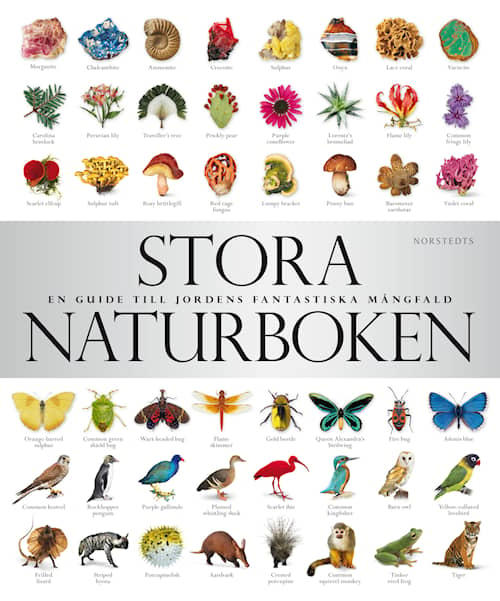 Stora naturboken