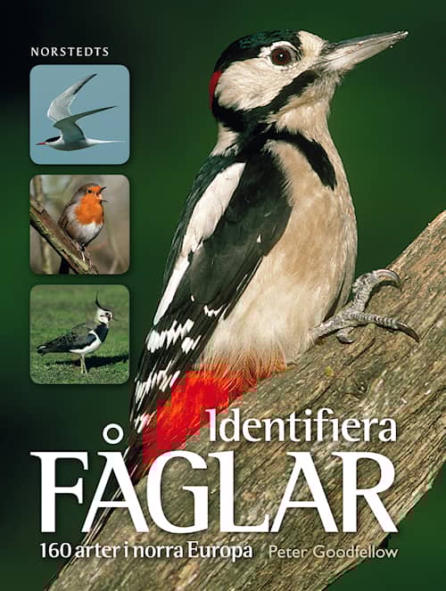 Identifiera fåglar