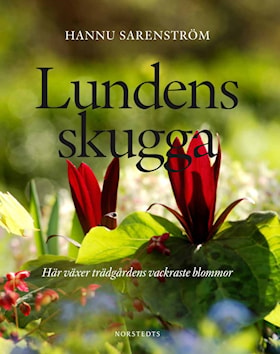 Lundens skugga