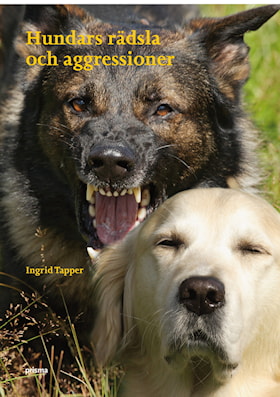 Hundars rädsla och aggressioner