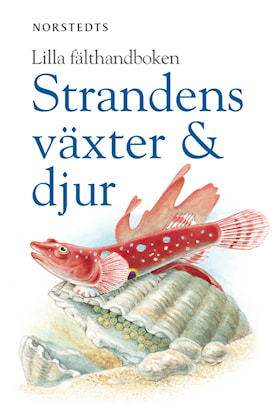 Strandens växter & djur