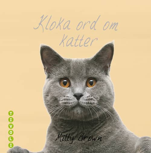 Kloka ord om katter