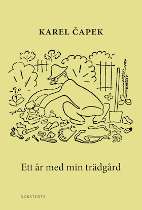 Ett år med min trädgård