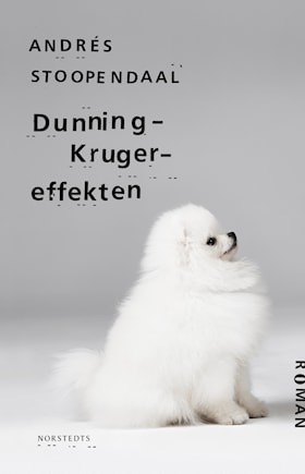 Dunning-Kruger-effekten