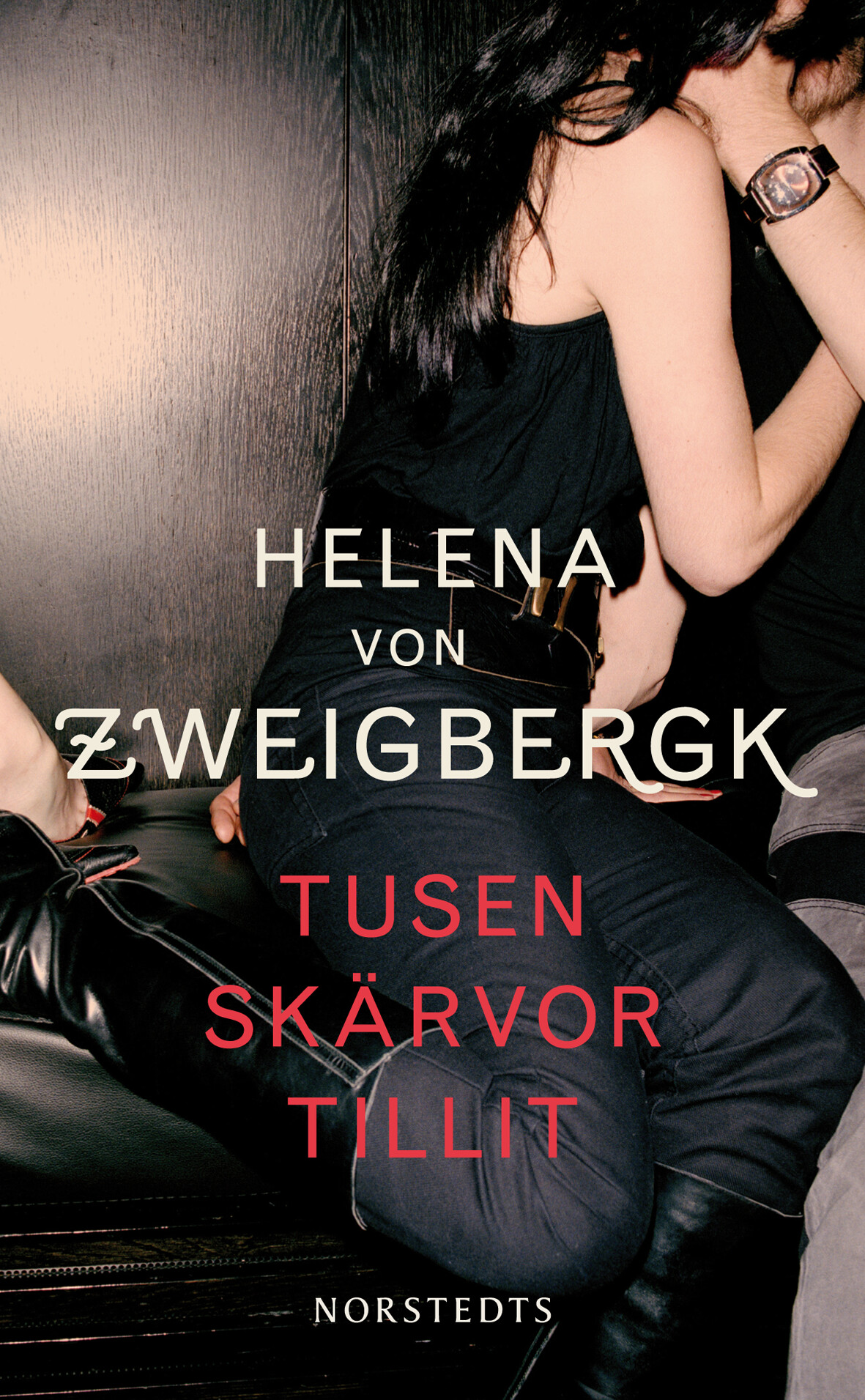 Tusen Skärvor Tillit | Helena Von Zweigbergk | Ljudbok