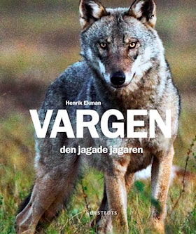 Vargen