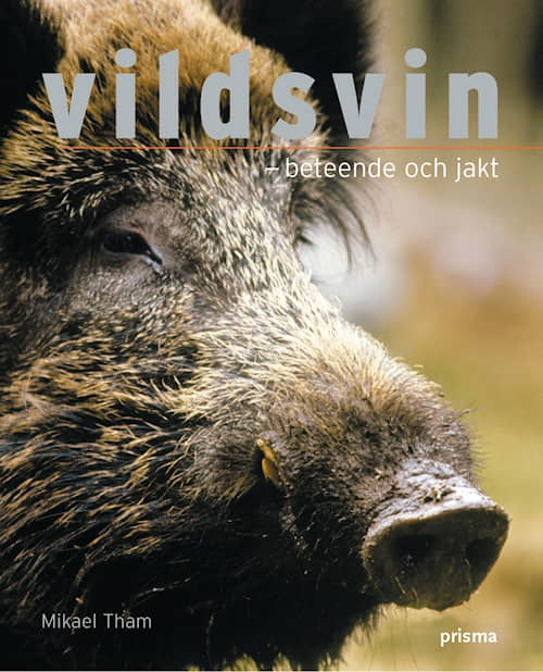 Vildsvin