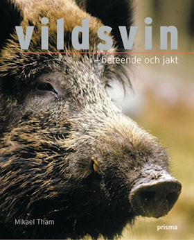 Vildsvin