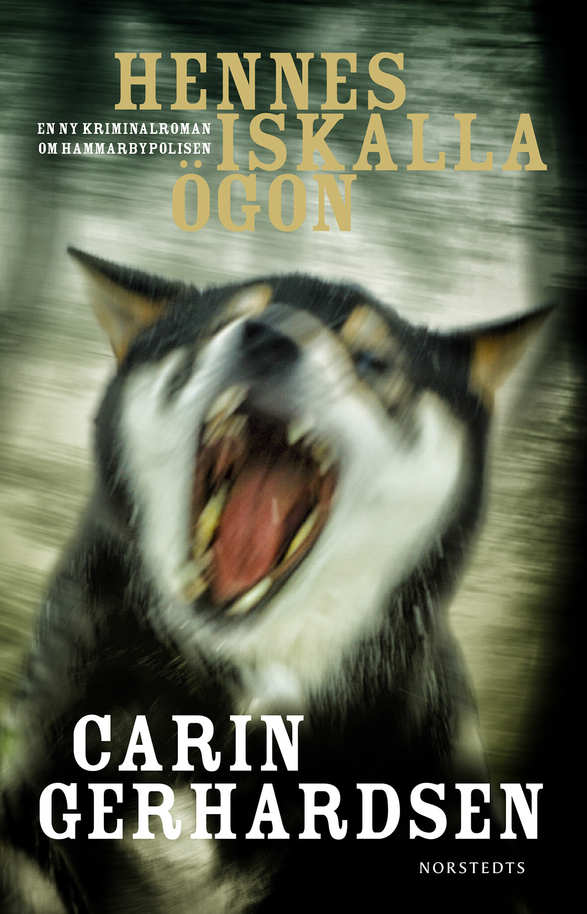 Hennes iskalla ögon