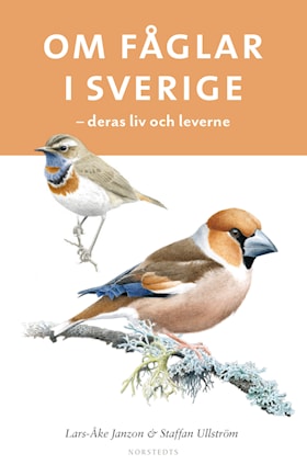 Om fåglar i Sverige