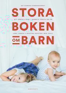 Stora boken om barn