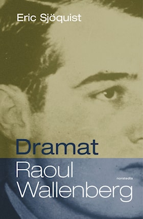 Dramat Raoul Wallenberg