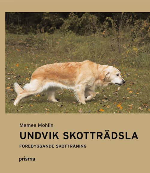 Undvik skotträdsla