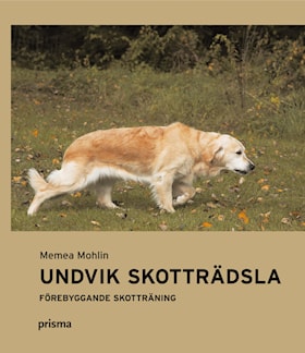 Undvik skotträdsla