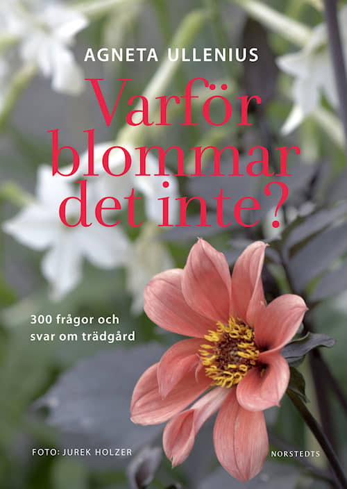 Varför blommar det inte?