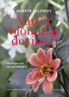 Varför blommar det inte?