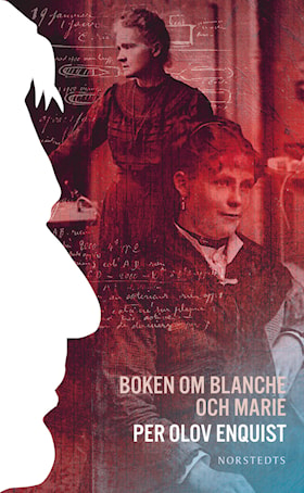 Boken om Blanche och Marie