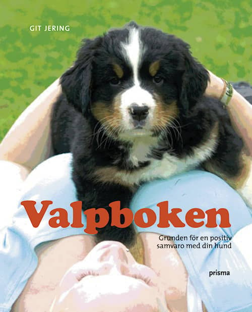 Valpboken