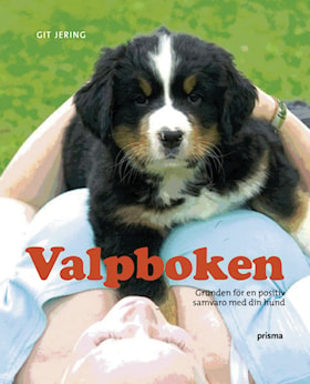 Valpboken