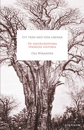 Ett träd med vida grenar