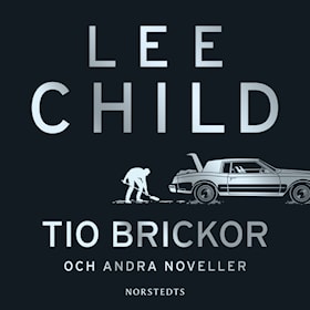 Tio brickor och andra noveller