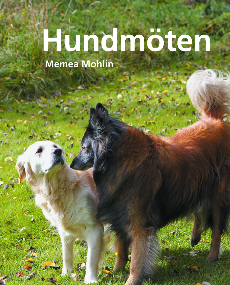 Hundmöten