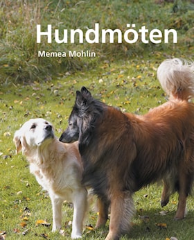 Hundmöten