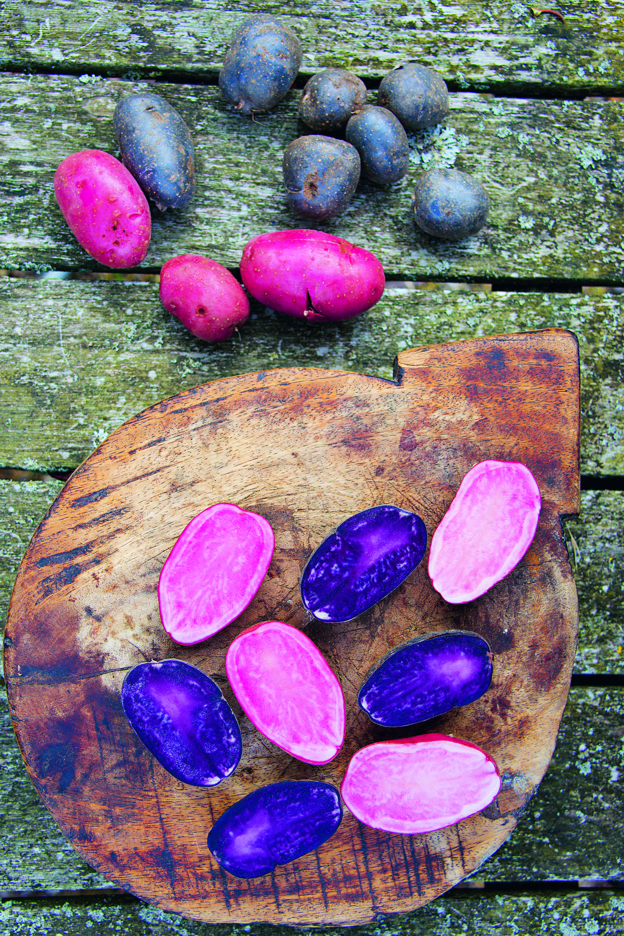 C66A0750 (kopia).jpg