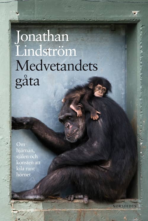 Medvetandets gåta