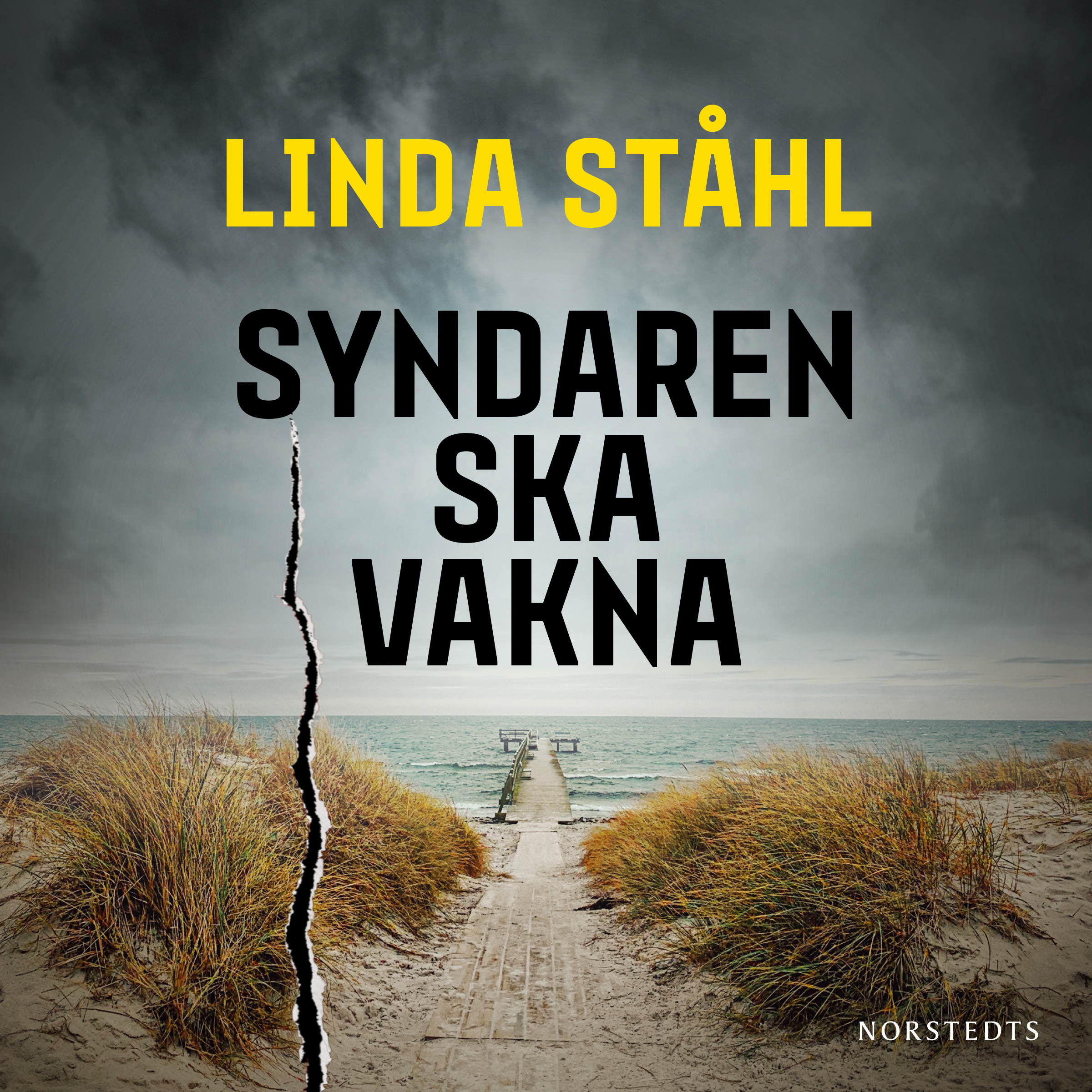 Syndaren ska vakna